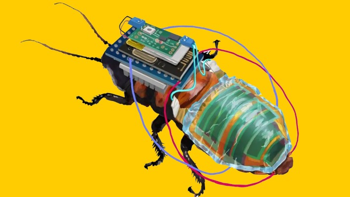 Тараканы-киборги, управляемые рюкзаками на солнечных батареях